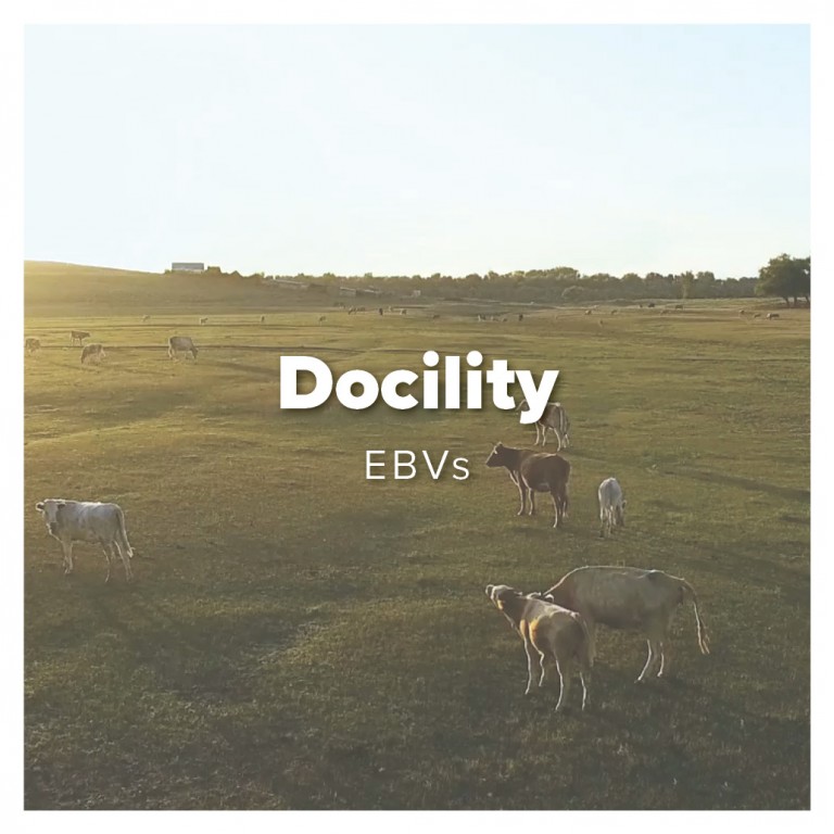 docility