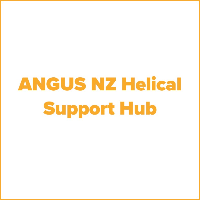 Angus_tile_Helical_tipsheets.jpg