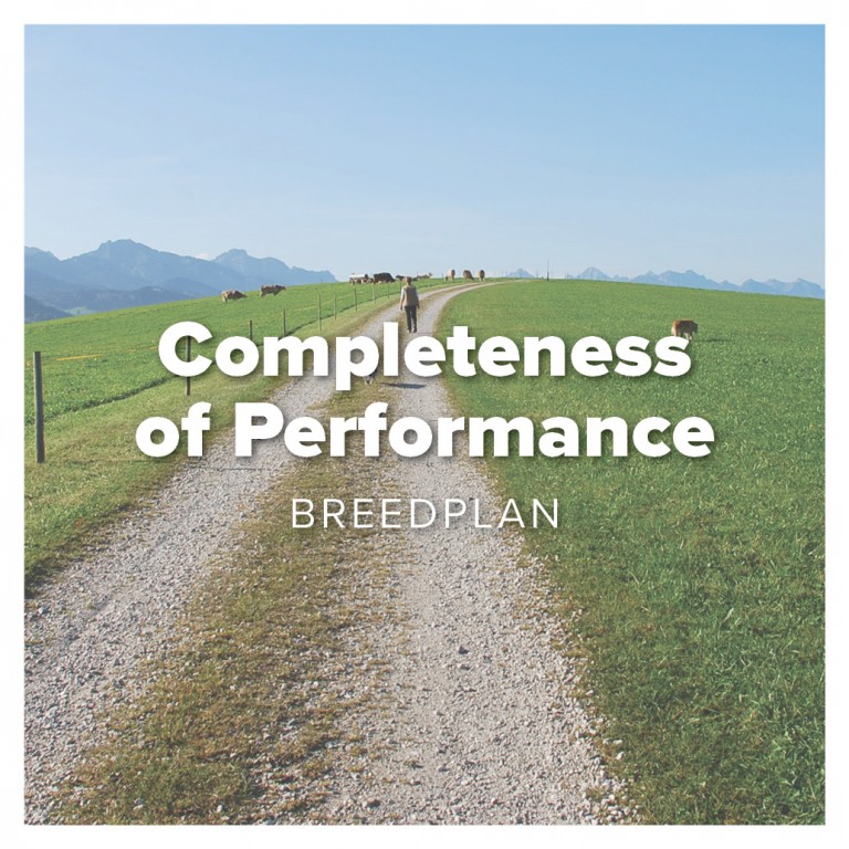 completeness of performance