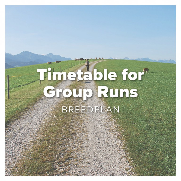 timetable for group runs