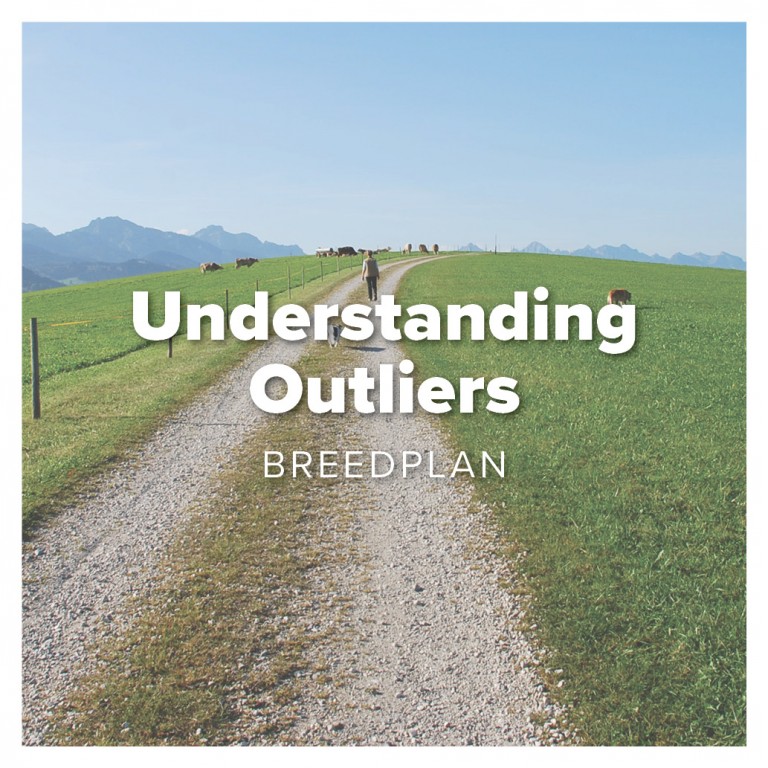 understanding outliers