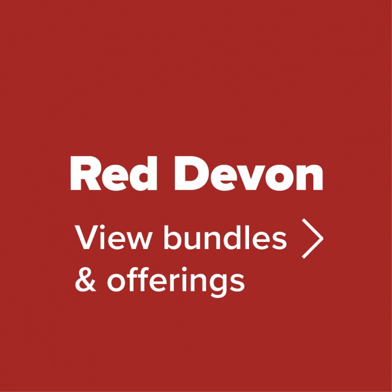 Red Devon