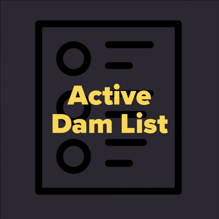 active dam list tile