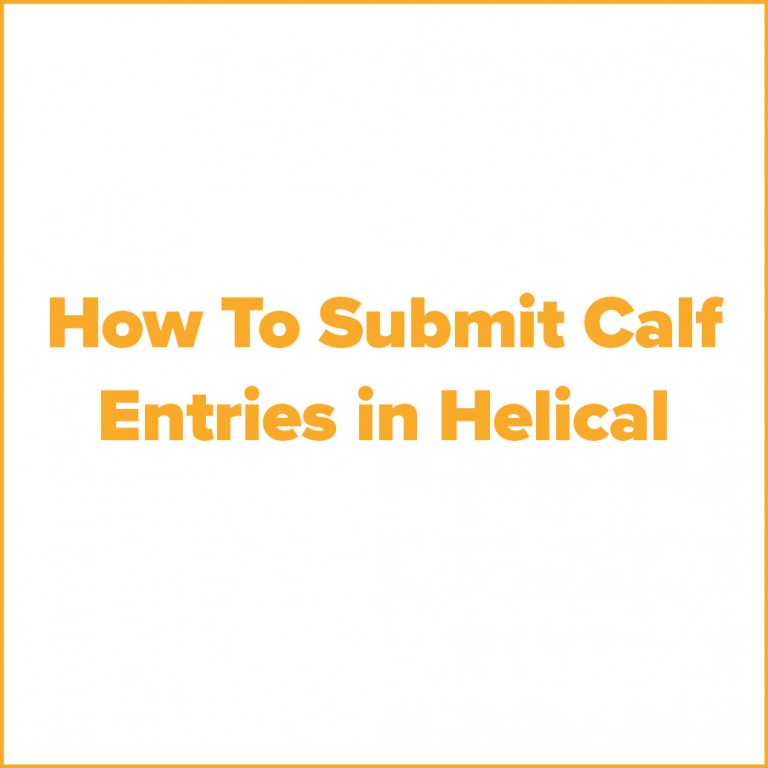 how to submit calf entries panel