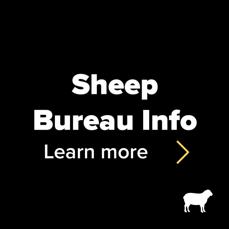 sheep bureau info